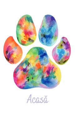 Felicitare culori: seria paw print. acasa