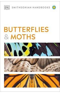 Butterflies and Moths - David Carter
