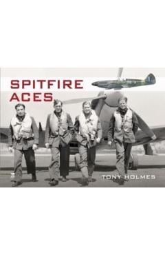Spitfire Aces - Tony Holmes
