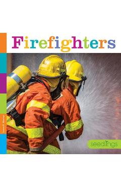 Firefighters - Laura K. Murray