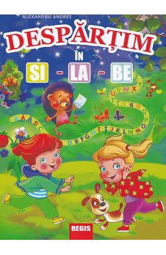 Despartim in si-la-be - Alexandru Andrei - REGIS