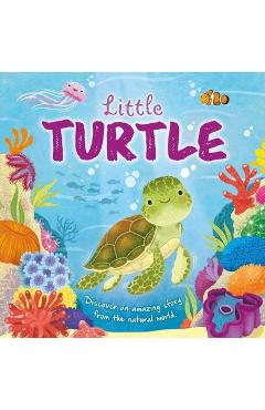 Nature Stories: Little Turtle: Padded Board Book - Igloobooks