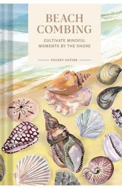 Pocket Nature Series: Beachcombing: Cultivate Mindful Moments by the Shore - Sadie Small