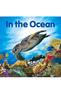 In the Ocean - New Holland Publishers