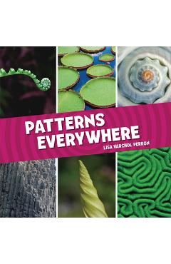 Patterns Everywhere - Lisa Varchol Perron