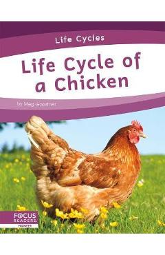 Life Cycle of a Chicken - Meg Gaertner