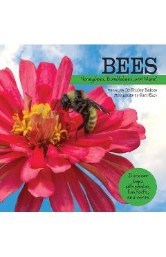 Bees: Honeybees, Bumblebees, and More! - Shirley Raines