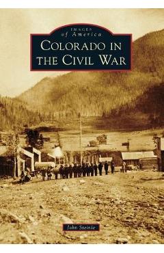 Colorado in the civil war - john steinle