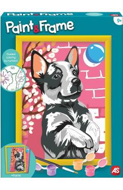 Pictura pe numere: Husky jucaus