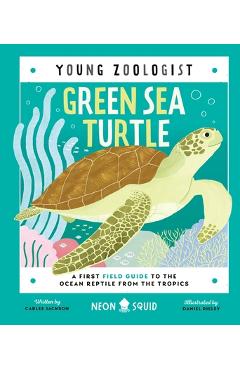 Green Sea Turtle (Young Zoologist): A First Field Guide to the Ocean Reptile from the Tropics - Carlee Jackson