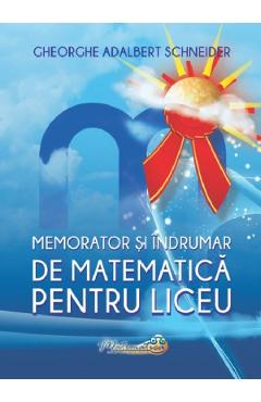 Memorator Si Indrumar De Matematica Pentru Liceu - Gheorghe Adalbert Schneider