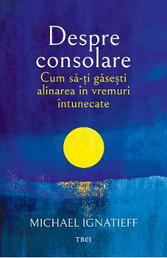 eBook Despre consolare - Michael Ignatieff