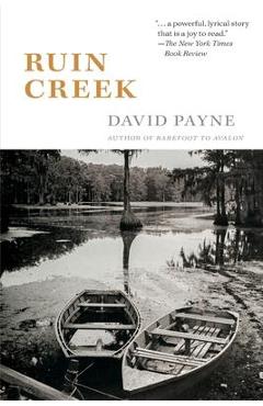 Ruin Creek - David Payne