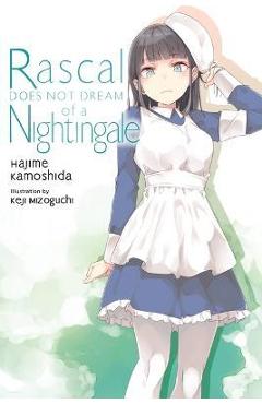 Rascal Does Not Dream of a Nightingale (Light Novel)