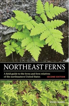 Northeast Ferns - Steve W. Chadde
