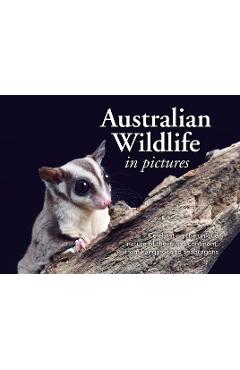 Australian Wildlife in Picture: Celebrating the Unique Nature of the Island Continent, from Kangaroos to Sea Dragons - New Holland Publishers
