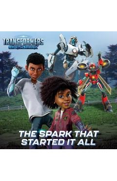 The Spark That Started It All - Maggie Testa
