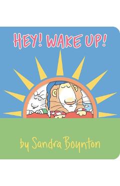 Hey! Wake Up!