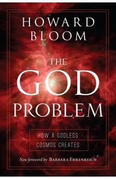 The God Problem: How a Godless Cosmos Creates - Howard Bloom