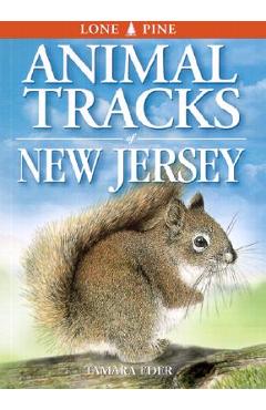 Animal Tracks of New Jersey - Tamara Eder