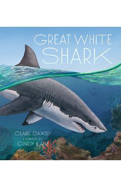Great White Shark - Claire Saxby