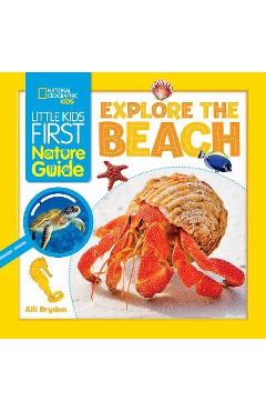 Explore the Beach - Alli Brydon