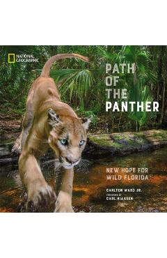 Path of the Panther: New Hope for Wild Florida - Carlton Ward Jr