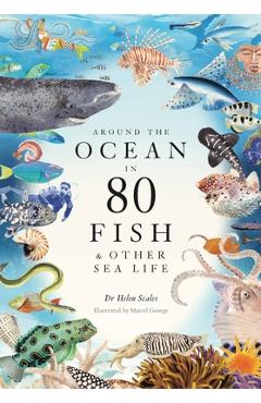 Around the Ocean in 80 Fish and Other Sea Life - Helen Scales