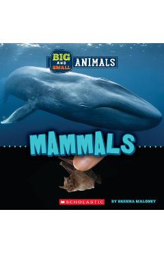 Mammals (Wild World: Big and Small Animals) - Brenna Maloney