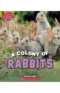 A Colony of Rabbits (Learn About: Animals) - Danielle Denega