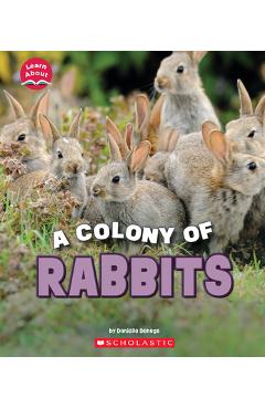 A Colony of Rabbits (Learn About: Animals) - Danielle Denega