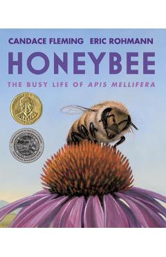 Honeybee: The Busy Life of APIs Mellifera - Candace Fleming