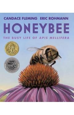 Honeybee: The Busy Life of APIs Mellifera - Candace Fleming