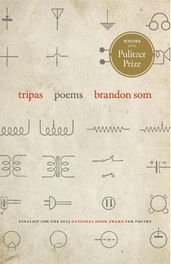 Tripas - Brandon Som