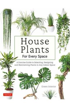 House Plants for Every Space: A Concise Guide to Selecting, Designing and Maintaining Plants in Any Indoor Space - Green Interior
