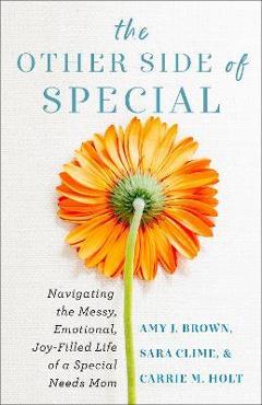 The other side of special: navigating the messy, emotional, joy-filled life of a special needs mom - amy j. brown