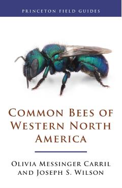 Common Bees of Western North America - Olivia Messinger Carril