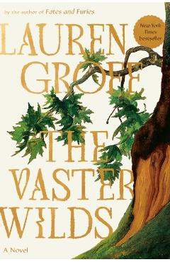 The Vaster Wilds - Lauren Groff