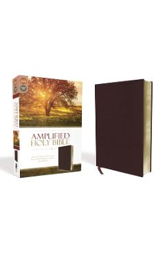 Amplified Bible-Am: Captures the Full Meaning Behind the Original Greek and Hebrew - Zondervan