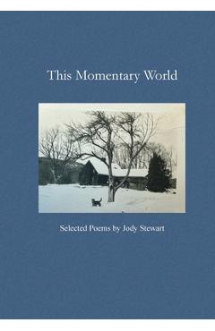 This Momentary World - Jody Stewart
