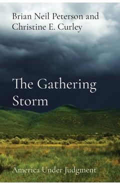 The Gathering Storm: America Under Judgment - Brian Neil Peterson