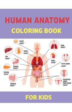 Human Anatomy Coloring books for kids: An physiology educational Coloring Workbook and Activity Book For health games for kids - human body Organs bas - Fecteau Roralaw Press Publishing