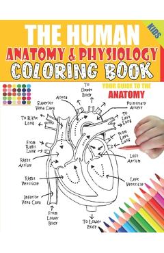 The Human Anatomy and Physiology Coloring Book: 50+ illustrations in an Activity coloring book for kids and teens, Great christmas, thanksgiving, birt - Lbrightside Anatomy &. Physiology