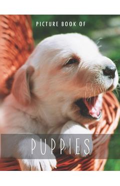 Picture Book of Puppies: for Alzheimer's Patients and Seniors with Dementia. - Cozy Erlnaco