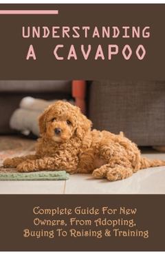 Understanding A Cavapoo: Complete Guide For New Owners, From Adopting ...