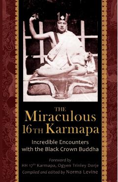 The Miraculous 16th Karmapa - Naomi Levine