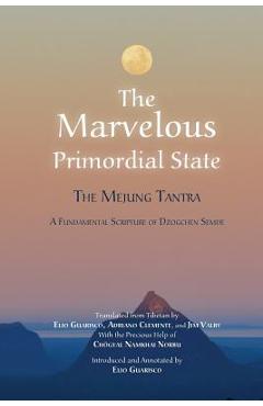 The Marvelous Primordial State - Elio Guarisco