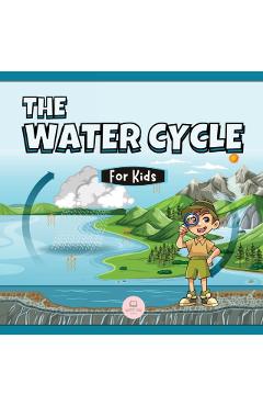 The Water Cycle for Kids: Learn what its stages are and what they consist of - Samuel John