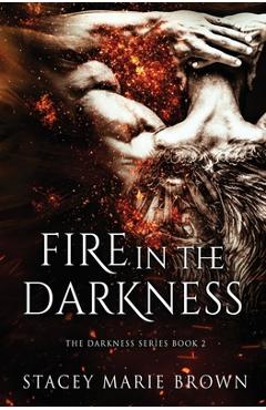 Fire in the darkness - stacey marie brown