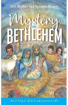 Mystery In Bethlehem - Susanne Blumer